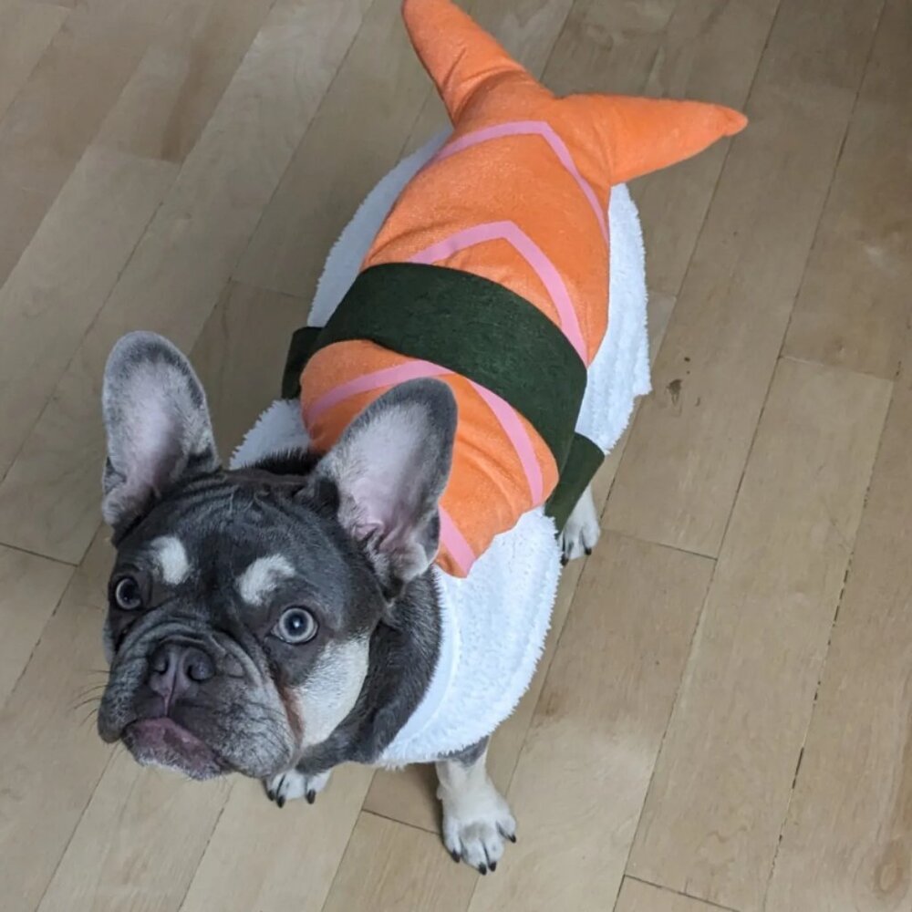 Small Dog Sushi Costume